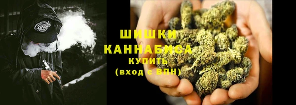 шишки Пролетарск