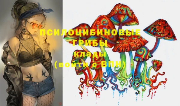 шишки Пролетарск