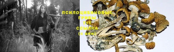 соль курить ск Белоозёрский
