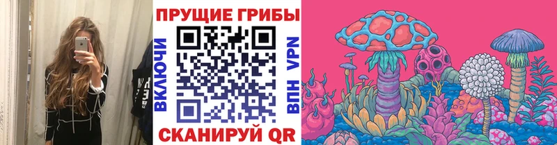 Галлюциногенные грибы мицелий ОМГ ОМГ зеркало Верещагино